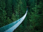 Capilano Suspension Bridge