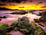 Beautiful reefs in sunset