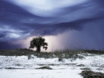 Coastal Dunes Storm