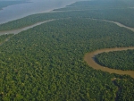Amazon Rain Forest River Basin
