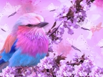 Bird and Blossoms