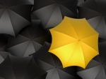 Yellow umbrella