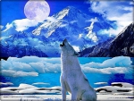 Howling  at Full Moon