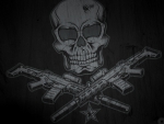 SKULL AND GUNS