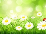 Delightful Daisies