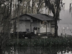 Interesting Swamp House