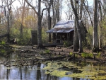 Quaint little House on the Bayou