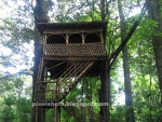 Treehouse