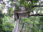Treehouse