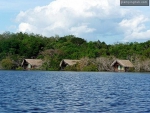 Houses on the Amazon River