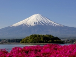 Mt. Fuji