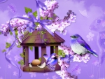 Spring Birdhouse