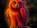 Bright Orange Owl