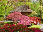 Japanese garden