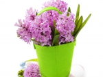Purple hyacinths ( for Shimoo )