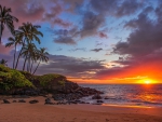 Ulua beach-Maui