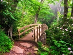 forest bridge with flowers.