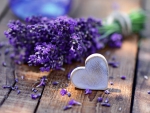 â™¥Lavenderâ™¥
