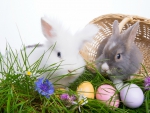 Easter Bunnies