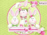 Spring Bunnies