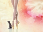 Chaton et Ballerine