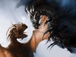 DRAGONS FIGHT