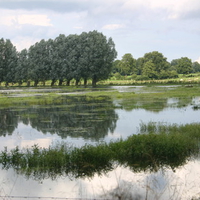 landscape after the rain