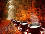 Autumnal train with coffee