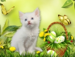Kittens Easter Spring