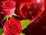 Red roses  4u with love