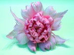 Feather peony