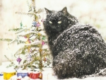 Christmas cat