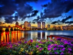 Bougainvillea in night on the west palm beach