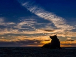 Wolf Shadow under Macic Sky