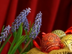 Easter Eggs and Grape Hyacinth
