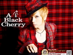 Acid Black Cherry