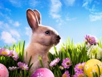 Easter Bunny