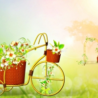 Flower Bicycle