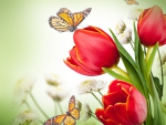 â™¥Flowers & Butterfliesâ™¥