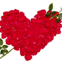 ÎµÑ—Ð· Valentines day heart petals for-Adi- ÎµÑ—Ð·
