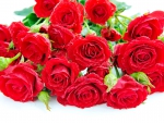 ãƒ„ ãƒ„ Red roses bud for yu-Karyn ãƒ„ ãƒ„