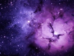 Purple Galaxy