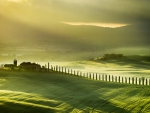 Early Morning in Tuscany