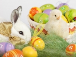 Easter Bunny and Chick