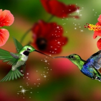 ~*~ Hummingbirds In Love ~*~