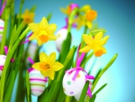 Daffodils and Easter Eggs
