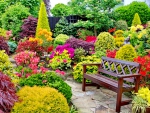 Beautiful flower garden for relaxing