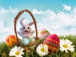 Easter Bunny
