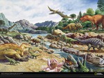 Cretaceous collection