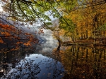 Autumn Mirror